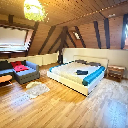 Private In The Big House Near Station דירה