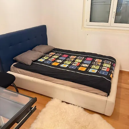 Private In The Big House Near Station דירה *
